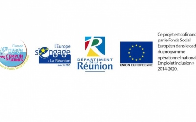 Présentation des partenaires financiers du CNARM dans le cadre du programme opérationnel national "Emploi et Inclusion" 2014-2020